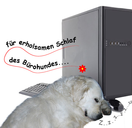 Arschgefickt Im Büro Arschgefickt Im Büro